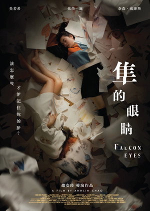 隼的眼睛