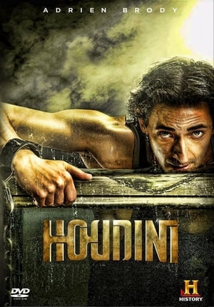 Poster Houdini 2014