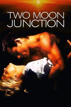 Download Two Moon Junction (1988) Amazon (English With Subtitles) Bluray 480p [350MB] | 720p [850MB]