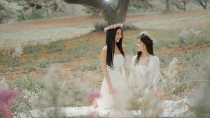 My Marvellous Dream Is You ( 2024 )