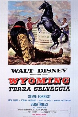 Poster di Wyoming, terra selvaggia