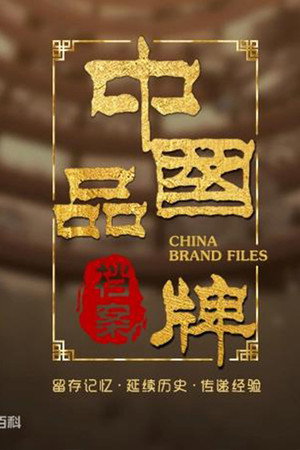 中国品牌档案