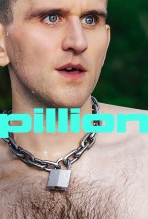 Pillion