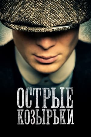 Poster Острые козырьки Сезон 2 2014