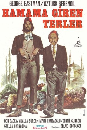 Image Hamama Giren Terler
