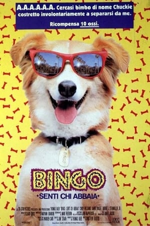 Poster Bingo - Senti chi abbaia 1991