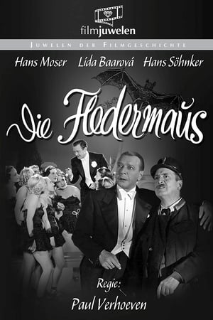 Die Fledermaus