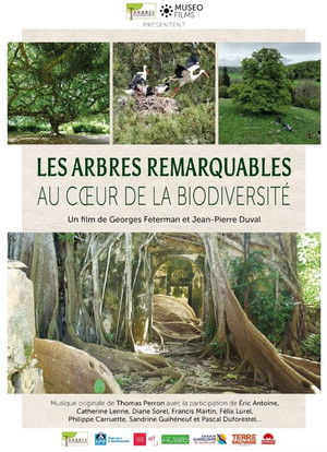 Les arbres remarquables au c&oelig;ur de la biodiversit&eacute;