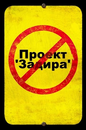 Poster Проект 'Задира' 2011