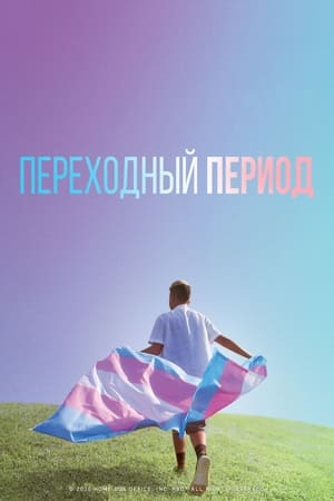Poster Переходный период 2020