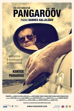 Poster Pangarööv 2009
