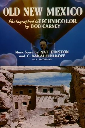 Poster Old New Mexico 1940