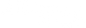 La red Avispa — Logos 6