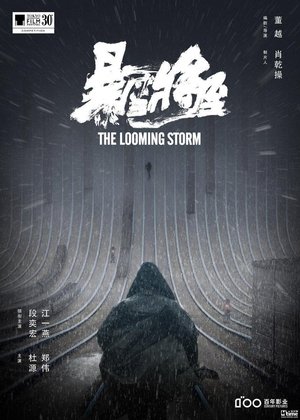 Poster 暴雪将至 2017