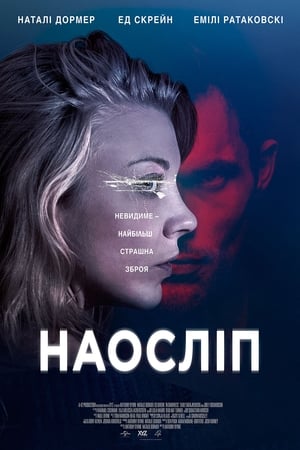 Poster Наосліп 2018