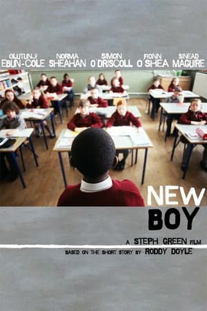 New Boy poster