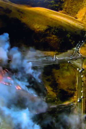 Astral Pegasus (2020)