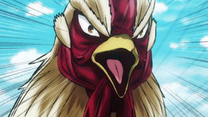 Rooster Fighter: 1×1