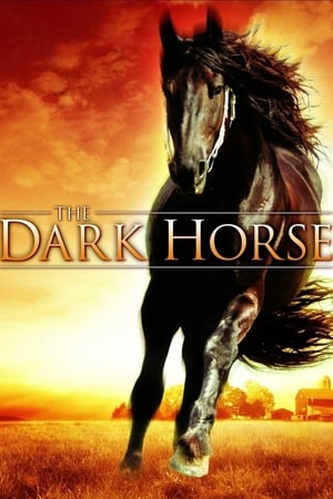 Poster The Dark Horse 2008