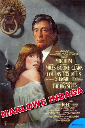 Poster di Marlowe indaga