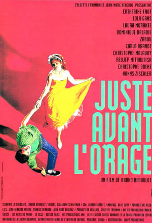 Poster Juste avant l'orage 1993