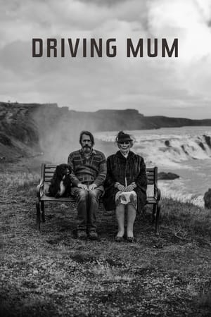Poster Driving Mum 2022