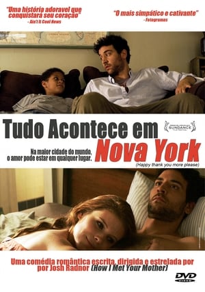 Poster Tudo Acontece em Nova York 2011