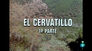 Episode 21