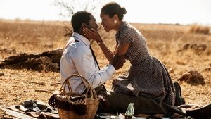 Mandela, del mito al hombre (2013)