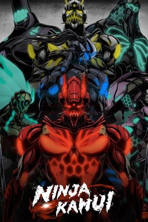 Ninja Kamui Dublado