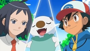S16E14 - There's a New Gym Leader in Town!