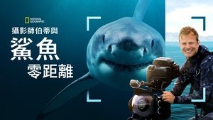 Sharks Up Close with Bertie Gregory