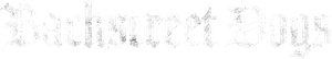 Ruim pra Cachorro — Logos 2