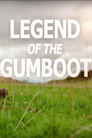 Poster How to DAD the Movie: Legend of the Gumboot (2017)