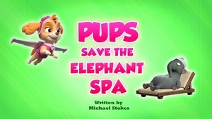 PAW Patrol Pups Save the Elephant Spa