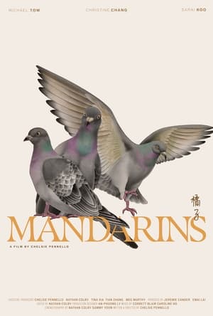 Poster Mandarins 2024