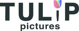 Tulip Pictures