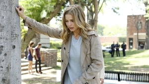 Revenge: 4×4