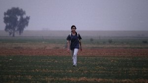 Of Dogs and Men