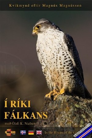 Nonton film In the Realm of the Gyr Falcon (2009) terbaru sub indo Nonton film In the Realm of the Gyr Falcon (2009) terbaru sub indo