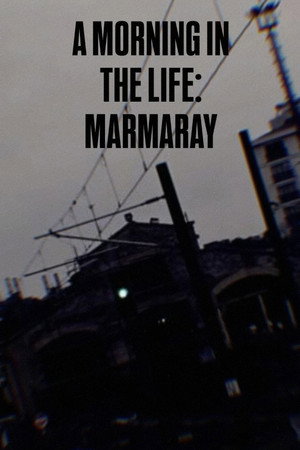 A Morning in the Life: Marmaray