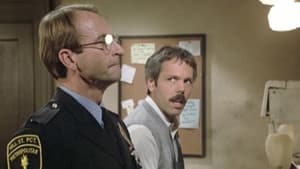 Polizeirevier Hill Street: 3×8