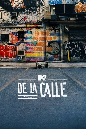 Image De la calle : l'histoire du hip-hop latino