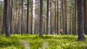 Tottori! – Kopfüber ins Abenteuer (2020)