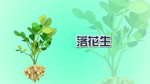 Episode 2 | StreamHub