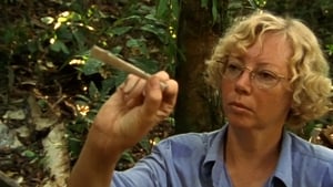Julianes Sturz in den Dschungel (2000)