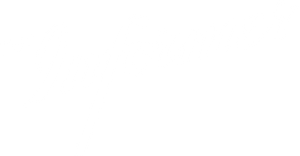 The Informer