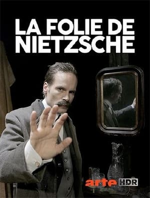 Poster Wahnsinn ! Nietzsche ! (2017)