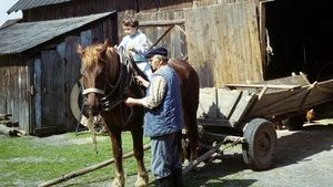 مشاهدة فيلم Galimatias, czyli Kogel-mogel II 1989 مباشر اونلاين