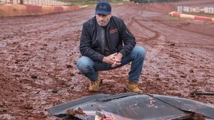 La victoire dans le sang